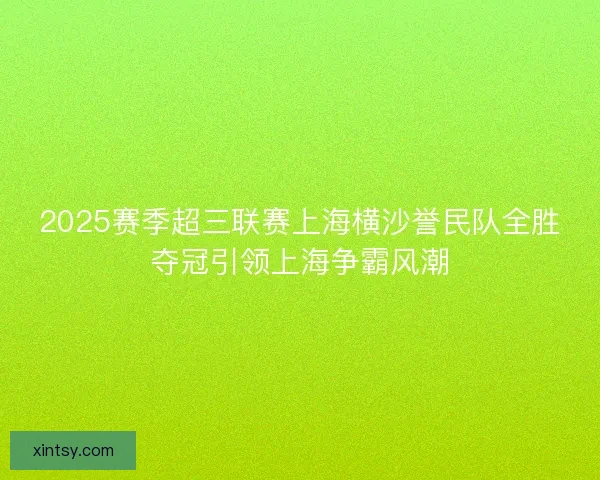 2025赛季超三联赛上海横沙誉民队全胜夺冠引领上海争霸风潮